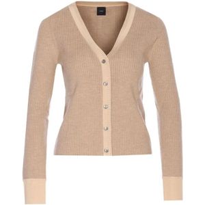 Pinko, Dames, Truien, Beige, Maat: L Wol,