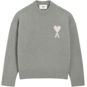 Ami Paris, Heren, Truien, Grijs, Maat: S Wol,