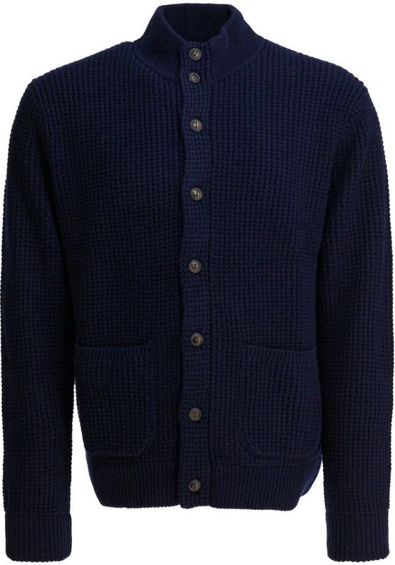 Polo Ralph Lauren - Gebreid Vest - Blauw - Wol-Katoenmix