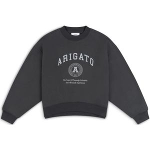 Axel Arigato, Dames, Sweatshirts & Hoodies, Grijs, Maat: M Katoen,