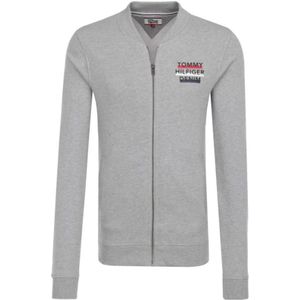 Tommy Hilfiger, Heren, Sweatshirts & Hoodies, Grijs, Maat: XS Katoen,