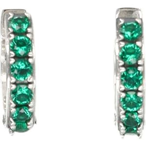Emanuele Bicocchi, Dames, Accessoires, Groen, Maat: ONE Size