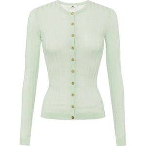 Elisabetta Franchi, Dames, Truien, Groen, Maat: S Viscose,