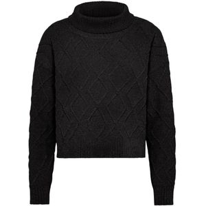 Rrd, Dames, Truien, Grijs, Maat: XS Velours,