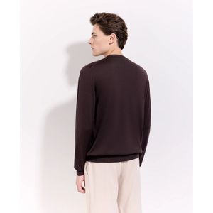 Filippo De Laurentiis, Heren, Truien, Bruin, Maat: M Wol,