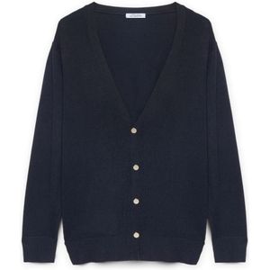 Fiorella Rubino, Dames, Truien, Blauw, Maat: XS Viscose,