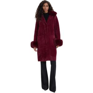 Joseph Ribkoff, Dames, Jassen, Rood, Maat: L