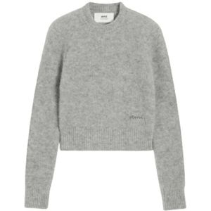 Ami Paris, Heren, Truien, Grijs, Maat: 2XS Wol,