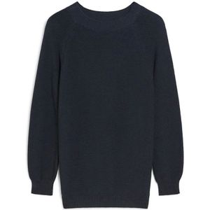 Weekend Max Mara, Dames, Truien, Blauw, Maat: M Katoen,