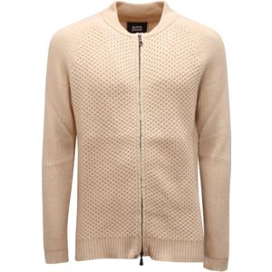 Alpha Studio, Heren, Truien, Beige, Maat: L Wol,