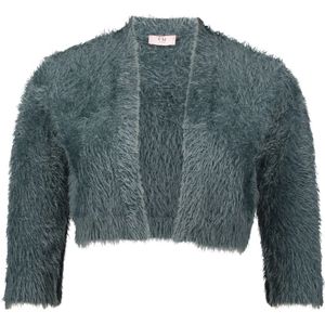 Vera Mont - Bolero - Grijs - Gebreid - 3/4 Mouwen