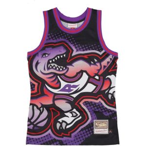 Mitchell & Ness, Heren, Sport, Veelkleurig, Maat: XL Poliester,