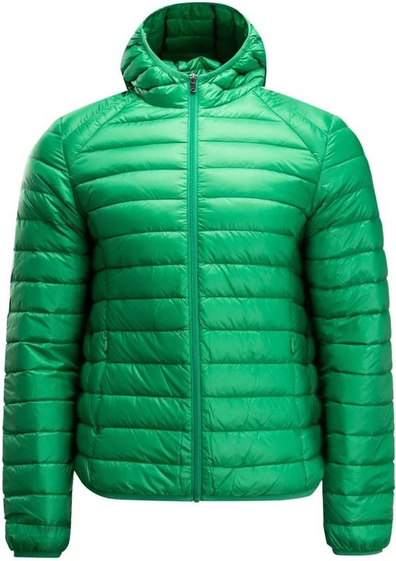 Heren JOTT Nico Lichtgewicht Pufferjas in Groen