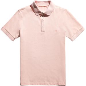 Fay, Heren, Tops, Roze, Maat: 2XL Piqué,