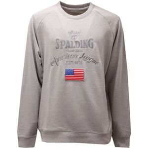 Spalding, Heren, Sweatshirts & Hoodies, Grijs, Maat: S