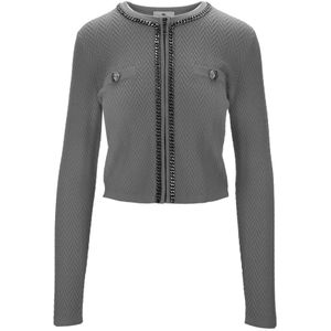 Elisabetta Franchi, Dames, Truien, Grijs, Maat: S