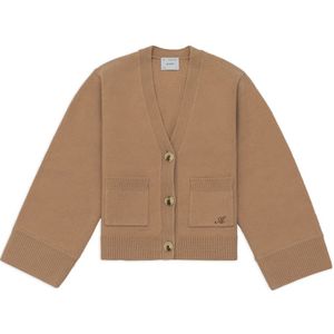 Axel Arigato, Dames, Truien, Beige, Maat: L Wol,