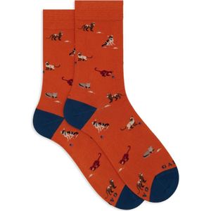 Gallo, Dames, Ondergoed, Veelkleurig, Maat: ONE Size Wol,