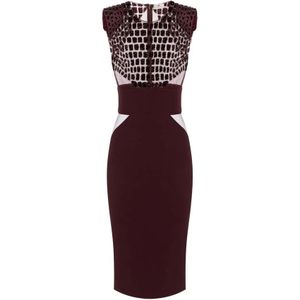 Elisabetta Franchi, Dames, Jurken, Paars, Maat: XS Satijn,