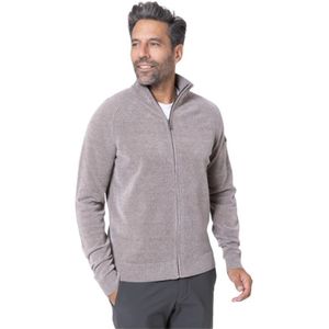 Rrd, Heren, Truien, Grijs, Maat: XL Velours,