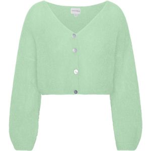 Americandreams, Dames, Truien, Groen, Maat: S Wol,