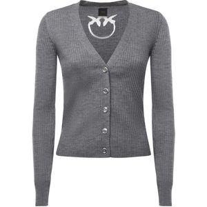 Pinko, Dames, Truien, Grijs, Maat: L Wol,