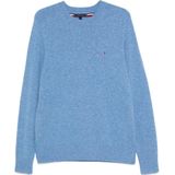 Tommy hilfiger trui maat S