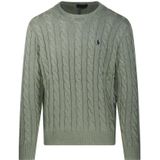 Ralph Lauren, Heren, Truien, Groen, Maat: M Katoen,