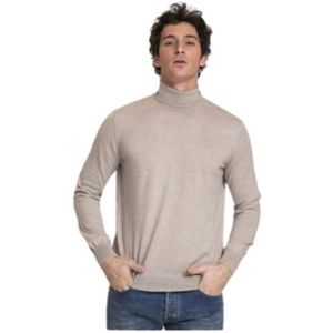 Gran Sasso, Heren, Truien, Beige, Maat: M Wol,