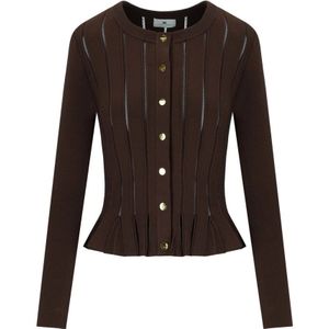 Elisabetta Franchi, Dames, Truien, Bruin, Maat: L Leer,