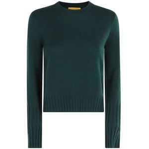 Guest In Residence, Dames, Truien, Groen, Maat: M Kasjmier,