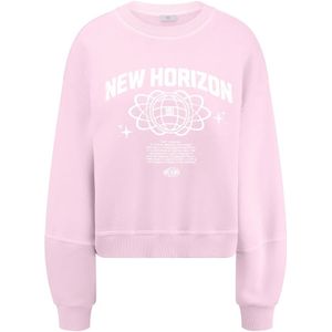 Riani, Dames, Sweatshirts & Hoodies, Roze, Maat: S Jersey,