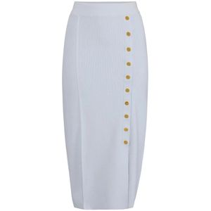 Elisabetta Franchi, Dames, Rokken, Blauw, Maat: XS Viscose,