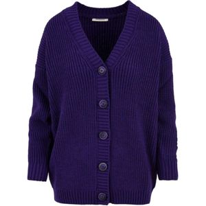 Hinnominate, Dames, Truien, Paars, Maat: XS