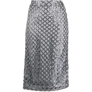 Federica Tosi, Dames, Rokken, Grijs, Maat: S Satijn,