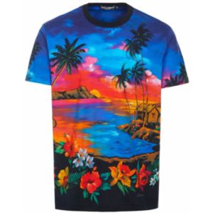 Dolce & Gabbana, Heren, Tops, Veelkleurig, Maat: 2XL