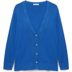 Fiorella Rubino, Dames, Truien, Blauw, Maat: XS Viscose,