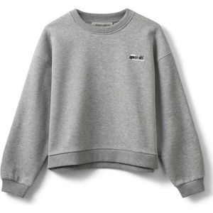 Sofie Schnoor, Dames, Sweatshirts & Hoodies, Grijs, Maat: XS