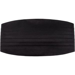 Dolce & Gabbana, Heren, Accessoires, Zwart, Maat: M Zijde,