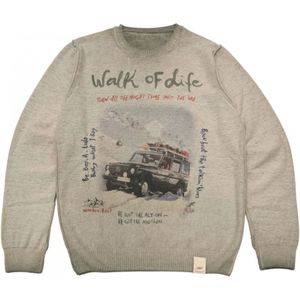 Bob, Heren, Truien, Groen, Maat: M Wol,