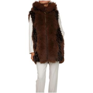 Fracomina, Dames, Jassen, Bruin, Maat: XS Poliester,