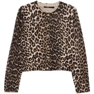 Seventy, Dames, Truien, Bruin, Maat: M