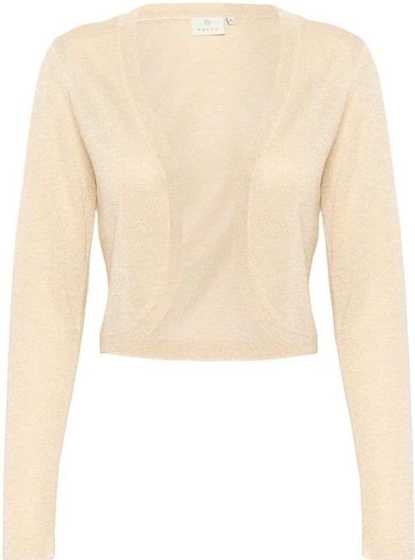 Kaffe, Dames, Truien, Beige, Maat: XL
