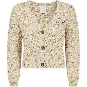 Eleventy, Dames, Truien, Beige, Maat: XS Katoen,