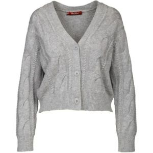 Max Mara, Dames, Truien, Grijs, Maat: S Wol,