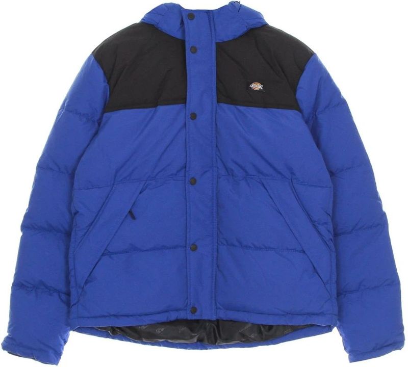 Dickies - Glacier View - Winterjas - Echt Blauw - Gewatteerd - Waterafstotend