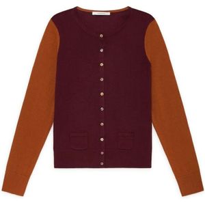 Maliparmi, Dames, Truien, Paars, Maat: XS Wol,