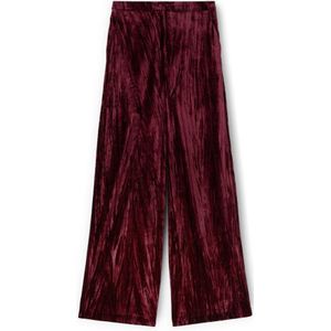 Motivi, Dames, Broeken, Rood, Maat: 2XS Katoen,