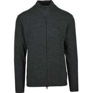 Daniele Fiesoli, Heren, Truien, Grijs, Maat: L Kasjmier,