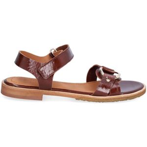 Billi Bi, Dames, Schoenen, Bruin, Maat: 37 EU Leer,